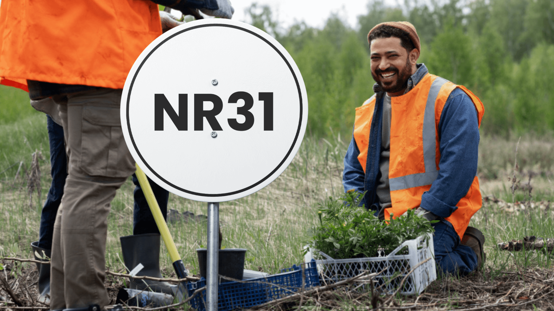 NR-31: Saúde e Segurança no Trabalho Rural