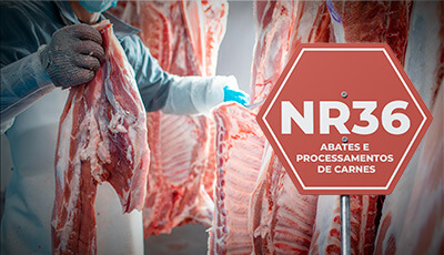 Trabalhadores de frigorífico utilizando EPIs adequados enquanto operam em ambiente refrigerado, seguindo as diretrizes da NR-36.